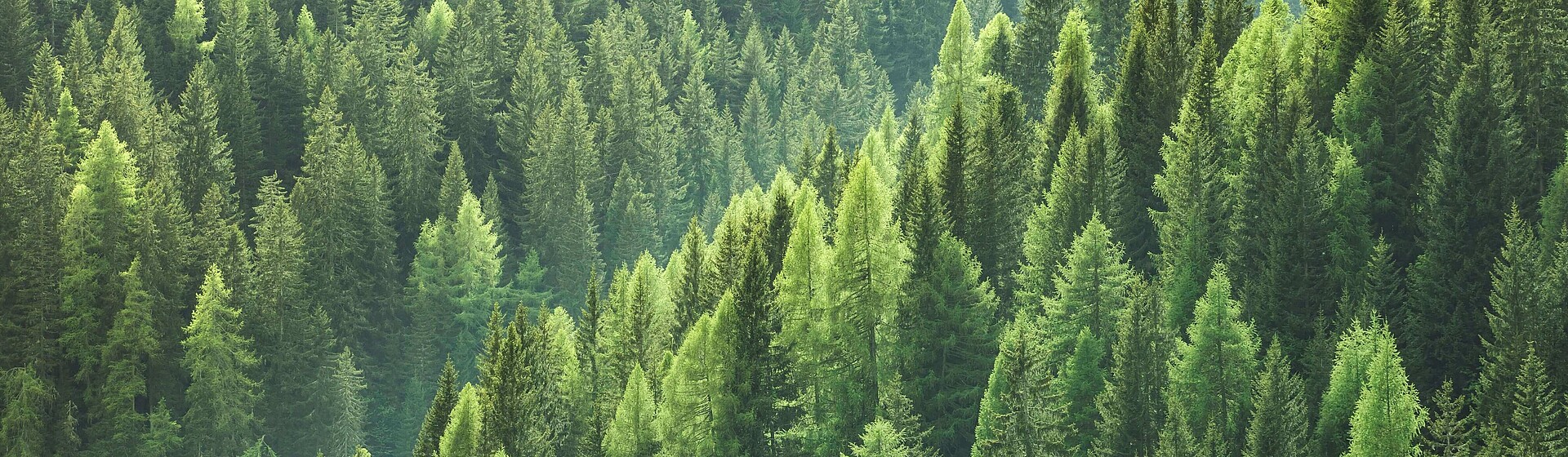 Rodzina z Ugandy podczas gotowania